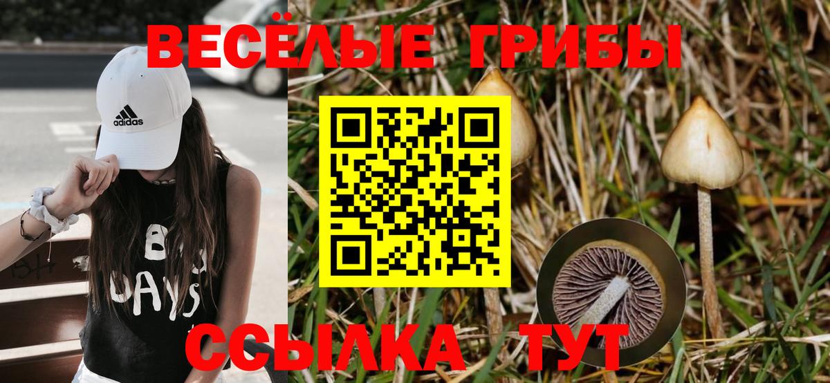 Галлюциногенные грибы GOLDEN TEACHER  Вход с VPN  Галлюциногенные грибы ЛСД  Бирск 